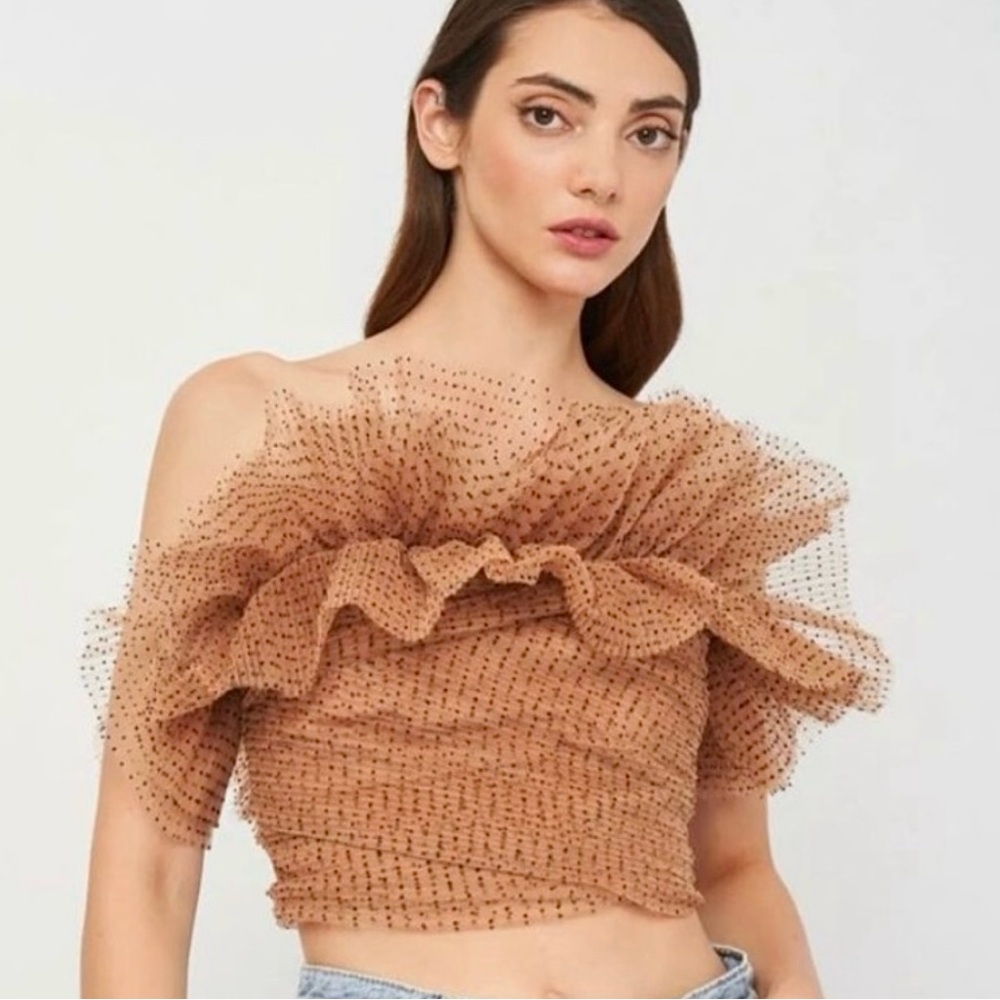 Zara polka dot tulle top